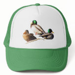 Mallard Ducks hats