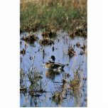 Mallard ducks in a Wetland photo sculptures