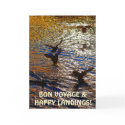 MALLARD DUCKS Landing Traveller Photo Greeting Car cards