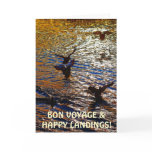 MALLARD DUCKS Landing Traveller Photo Greeting Car cards