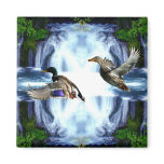 Mallard ducks refrigerator magnet
