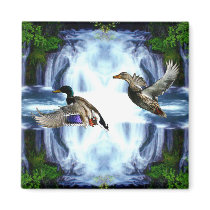 Mallard ducks refrigerator magnet
