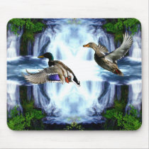 Mallard ducks mousepads