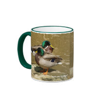 Mallard Ducks Mug