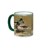 Mallard Ducks Mug
