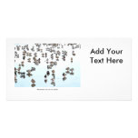 Mallard Ducks on a Frozen Pond photo cards