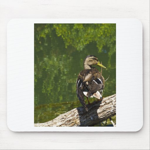 Mallard Female Mouse Pads