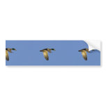 Mallard flying bumper stickers