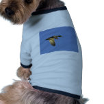 Mallard flying pet clothing