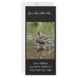 Mallard Hen rack cards