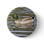Mallard Hybrid buttons
