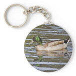 Mallard Hybrid keychains