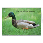 'Mallard in Motion' Greeting Card