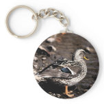 mallard keychains