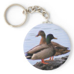 Mallard Keychain