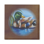 Mallard magnets