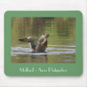 Mallard Mousepad
