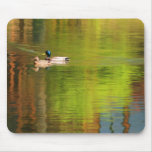Mallard Pair - Mousepad