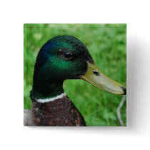 Mallard Pin