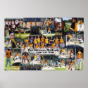 Mallards Collage Poster posters