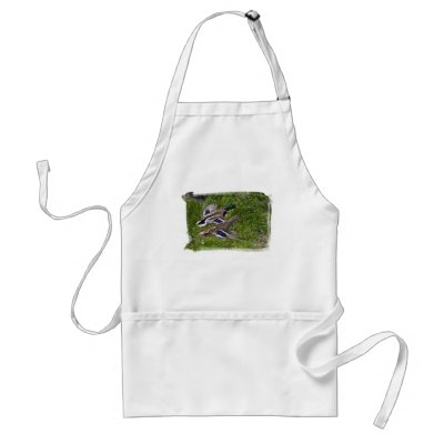 Mallards Flying Aprons by buffaloworks