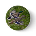 Mallards Flying buttons