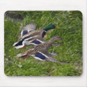 Mallards Flying Mouse Pad mousepads