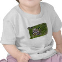 Mallards Flying t-shirts