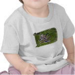 Mallards Flying t-shirts