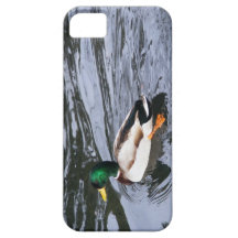 Mallards iPhone 5 Cases