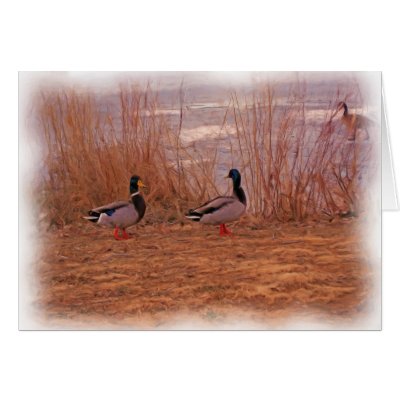 MALLARDS OIL PAINTING CARD by GINABARE