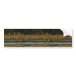 Mallards rising from water bumper stickers