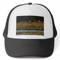 Mallards rising from water trucker hat