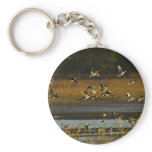 Mallards rising from water keychains