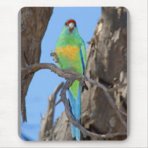Mallee Ringneck Parrot Mouse Pad
