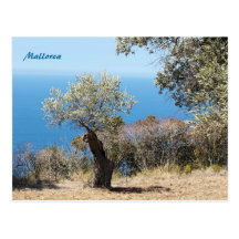 Mallorca Post Cards