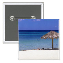 Malmok Beach, Aruba, Netherlands Antilles Pin