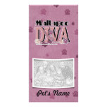 MaltaPoo DIVA Photo Card