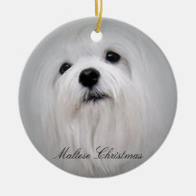 Maltese Christmas Christmas Tree Ornament