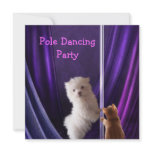 Maltese Dog & Ginger Cat Pole Dancing Party invitations