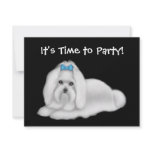 Maltese Dog Invitation