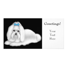Maltese Dog Photo Card