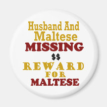 Maltese & Husband Missing Reward For Maltese Magnets