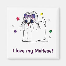 Maltese Love! Magnets