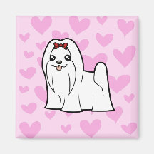 Maltese Love (show cut) Magnets