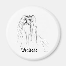 Maltese Magnet