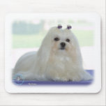 Maltese mousepads