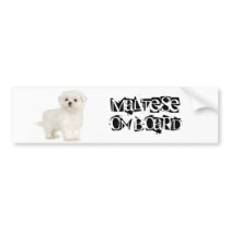 Maltese on Board