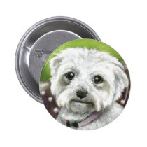 Maltese buttons