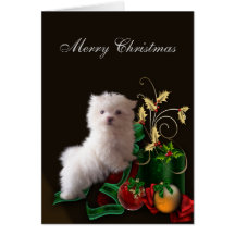 Maltese Puppy Dog Christmas Greeting Card